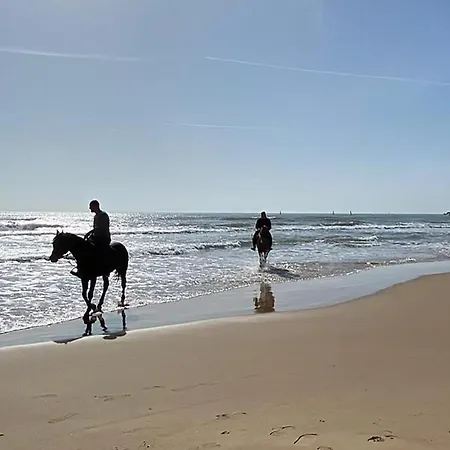 Terrazze Sul Mare Отель типа 